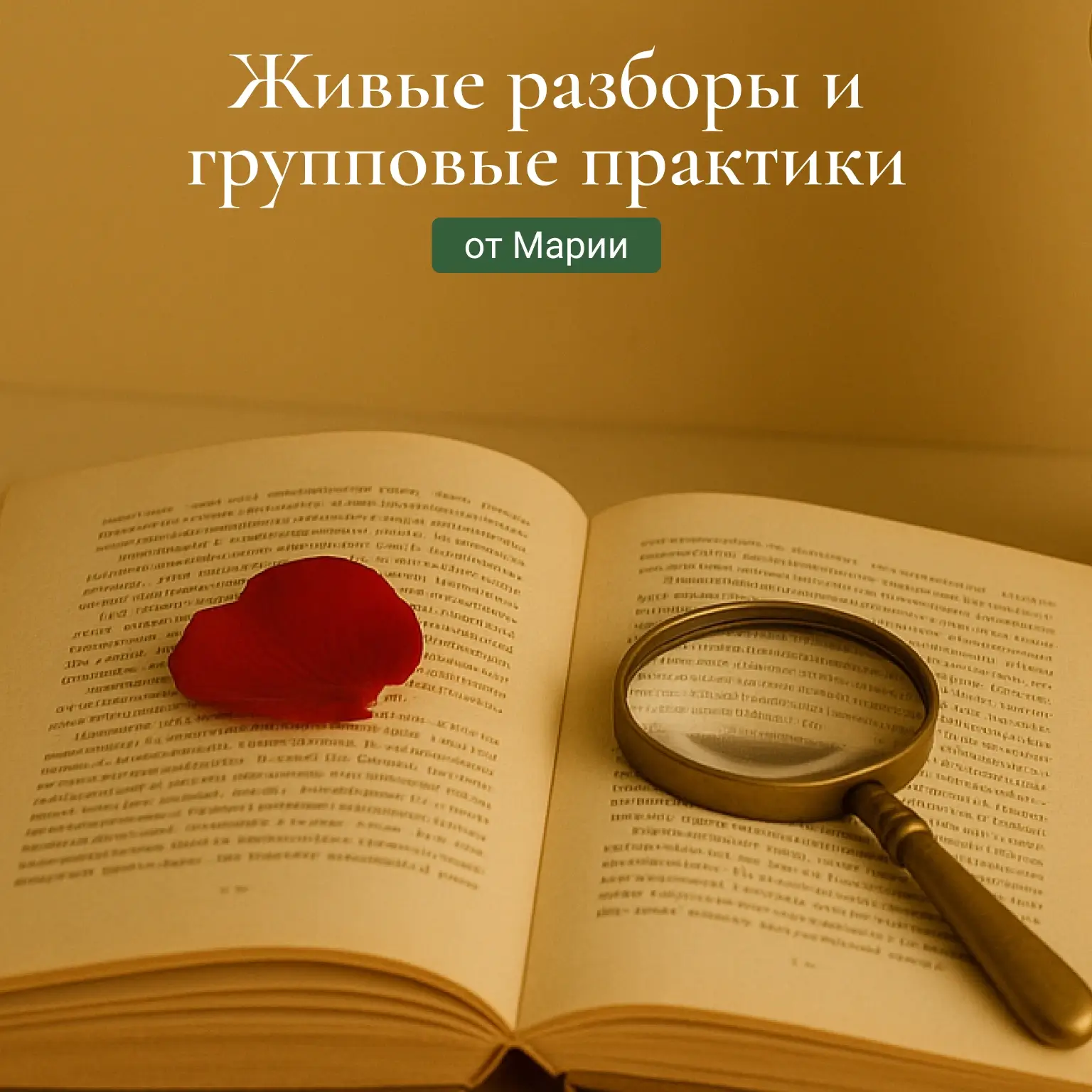 Живые разборы и групповые практики